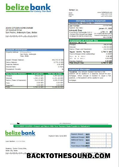İndir Belize Belizebank Banka İpotek Hesap Özeti scr Örnek tasarım