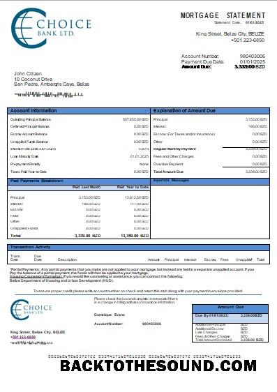 İndir Belize Choice Banka İpotek Hesap Özeti scr Örnek örnek