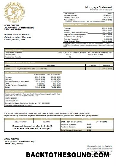 İndir Bolivya Banco Central de Bolivya Banka İpotek Hesap Özeti scr Örnek taslak