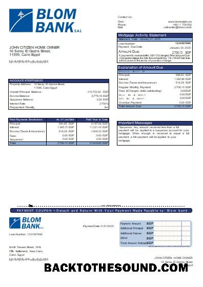 İndir Mısır Blom Banka of Mısır Banka İpotek Hesap Özeti scr Örnek ön izleme