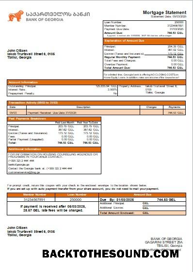 İndir Gürcistan Banka of Gürcistan Banka İpotek Hesap Özeti scr Örnek şablon