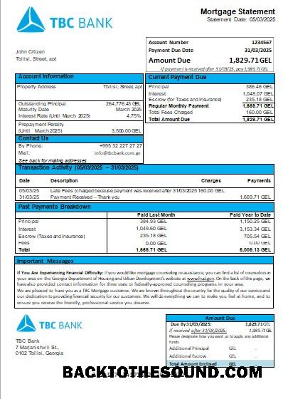 İndir Gürcistan TBC Banka İpotek Hesap Özeti scr Örnek şablon