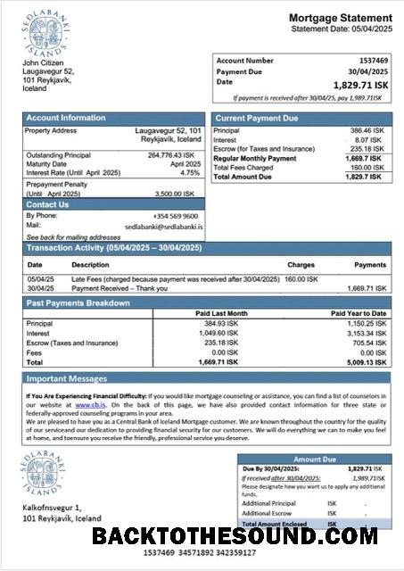 İndir İzlanda Central Banka of İzlanda İpotek Hesap Özeti Word and PDF Örnek ön izleme