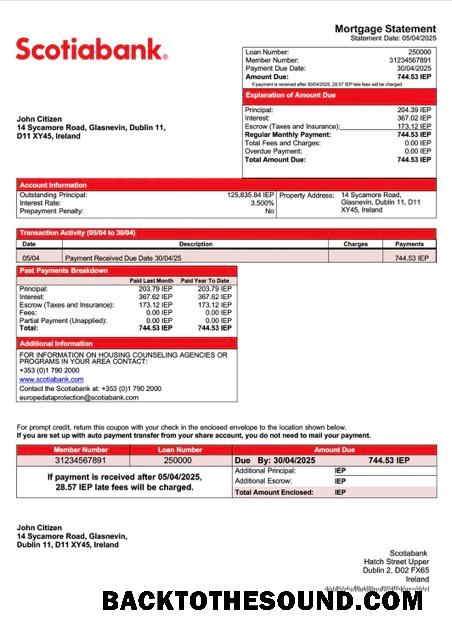 İndir İrlanda Scotiabank İpotek Hesap Özeti Word and PDF Örnek tasarım