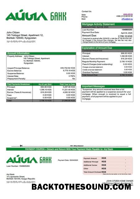 İndir Kırgızistan Aiyl Banka İpotek Hesap Özeti Word and PDF Örnek tasarım