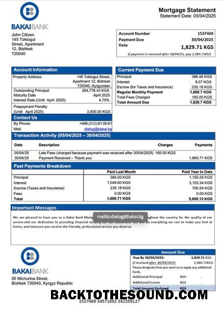 İndir Kırgızistan Bakai Banka İpotek Hesap Özeti Word and PDF Örnek ön izleme