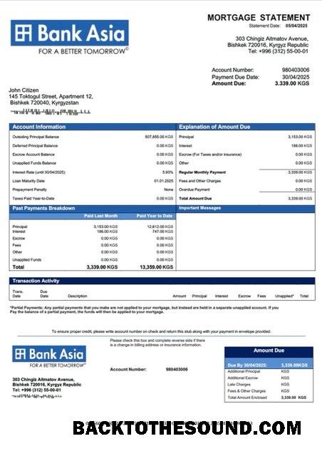 İndir Kırgızistan Banka of Asia İpotek Hesap Özeti Word and PDF Örnek ön izleme