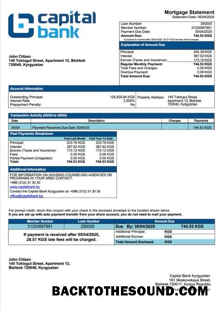 İndir Kırgızistan Capital Banka Kırgızistan İpotek Hesap Özeti Word and PDF Örnek ön izleme