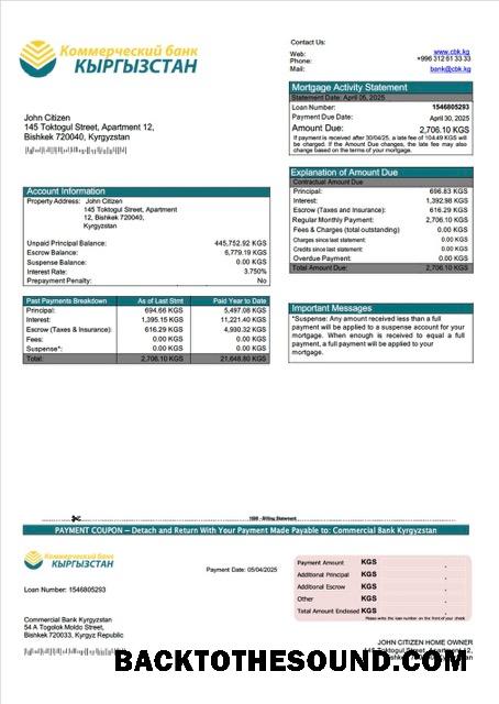 İndir Kırgızistan ticari Banka Kırgızistan İpotek Hesap Özeti Word and PDF Örnek ön izleme