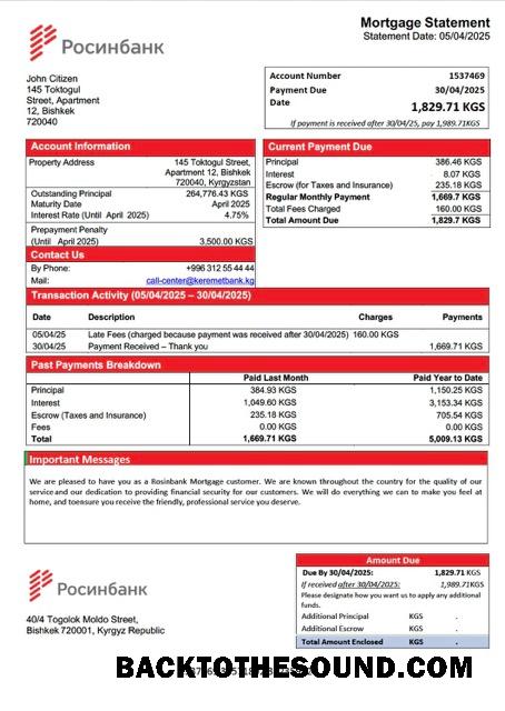 İndir Kırgızistan Rosinbank İpotek Hesap Özeti Word and PDF Örnek örnek