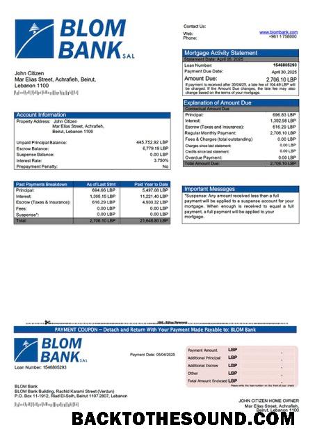 İndir Lübnan BLOM Banka İpotek Hesap Özeti Word and PDF Örnek tasarım