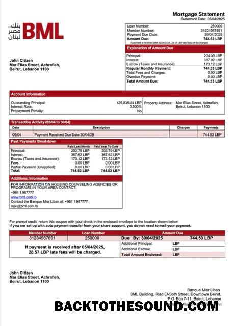 İndir Lübnan Banque Misr Liban İpotek Hesap Özeti Word and PDF Örnek ön izleme