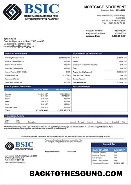 İndir Mali BSIC Mali İpotek Hesap Özeti Word and PDF Örnek taslak