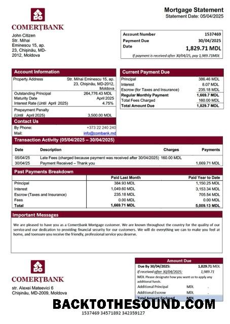İndir Moldova ComerțBanka İpotek Hesap Özeti Word and PDF Örnek tasarım
