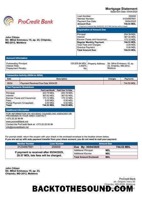 İndir Moldova ProCredit Banka İpotek Hesap Özeti Word and PDF Örnek şablon