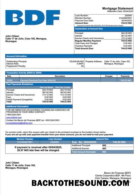 İndir Nikaragua Banco de Finanzas (BDF) İpotek Hesap Özeti Word and PDF Örnek şablon