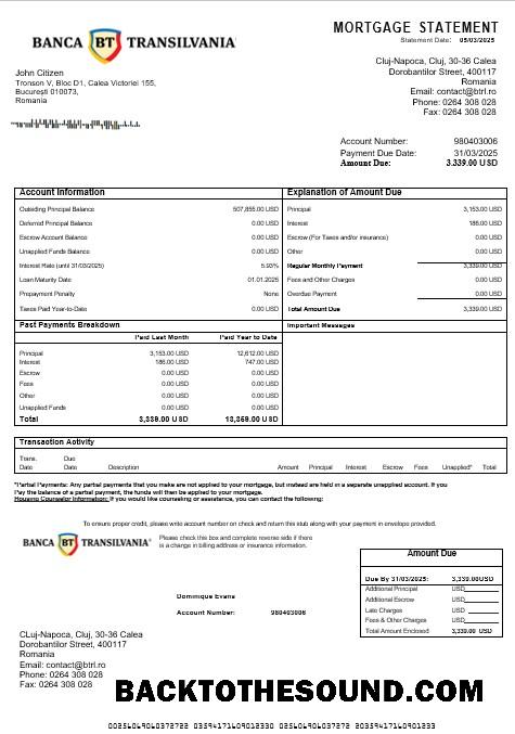 İndir Romanya Banca Transilvania İpotek Hesap Özeti in Word and PDF Formatlar Örnek şablon