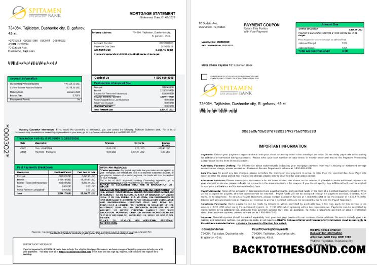 İndir Tacikistan Spitamen Banka İpotek Hesap Özeti in Word and PDF Formatlar 1 2 Örnek örnek