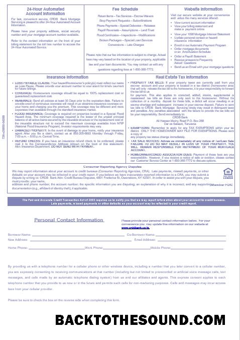 İndir Tanzanya CRDB Banka İpotek Hesap Özeti in Word and PDF Formatlar, 3 pages 3 Örnek tasarım