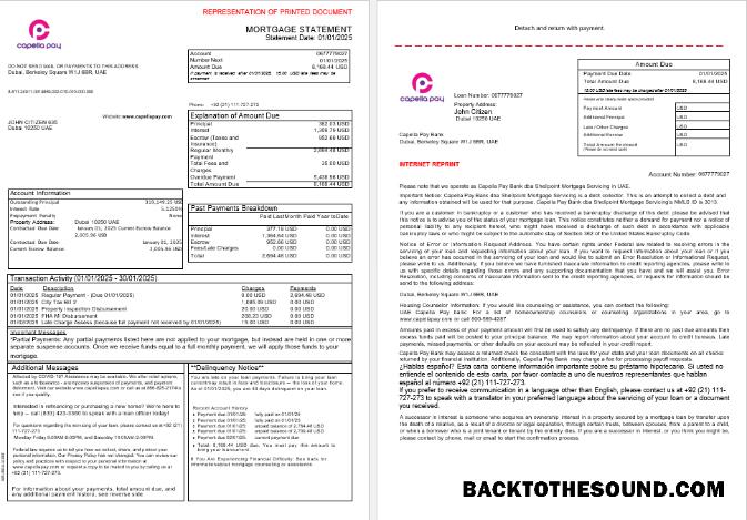 İndir BAE Capella Pay Banka İpotek Hesap Özeti in Word and PDF Formatlar, 3 pages 1 2 Örnek ön izleme