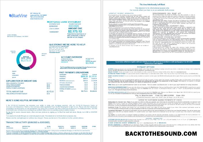 İndir ABD California BlueVine Banka İpotek Kredi Hesap Özeti in Word and PDF Formatlar , 4 pages 1 2 Örnek şablon