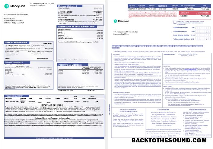 İndir ABD California MoneyLion Banka İpotek Hesap Özeti in Word and PDF Formatlar, 3 pages 1 2 Örnek taslak