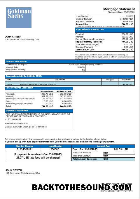 İndir ABD Goldman Sachs Banka İpotek Hesap Özeti in Word and PDF Formatlar Örnek örnek
