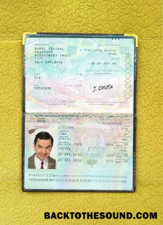 Scarica Afghanistan Passaporto Foto look Campione campione