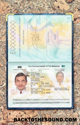 Scarica Bahamas Passaporto Foto look Campione mockup