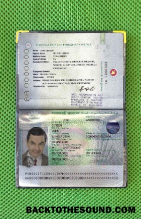 Scarica Bangladesh Passaporto (2013 2019) Foto look Campione modello