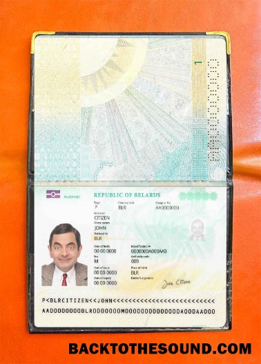 Scarica Bielorussia pass (2020 Presente) Foto look Campione design