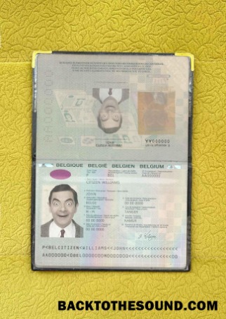 Scarica Belgio Passaporto (2014 2017) Foto look Campione mockup