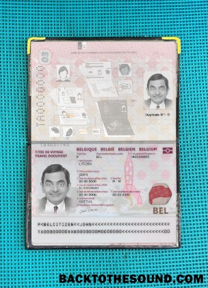 Scarica Belgio Passaporto 2022 Presente foto-look Campione mockup