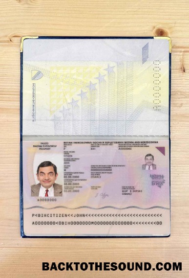 Scarica Bosnia & Herzegovina Passaporto Foto look Campione design
