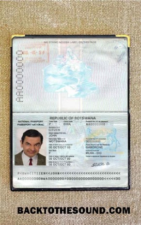 Scarica Botswana Passaporto Foto look Campione mockup