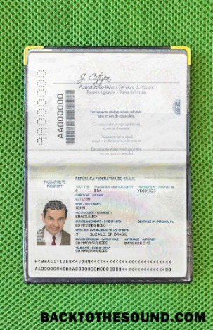 Scarica Brasile Passaporto (2016 2019) Foto look Campione anteprima