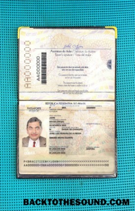 Scarica Brasile Passaporto Versione 2 (2019 Presente) Foto look Campione modello