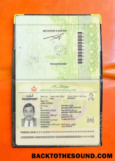 Scarica Brunei pass Foto look Campione mockup