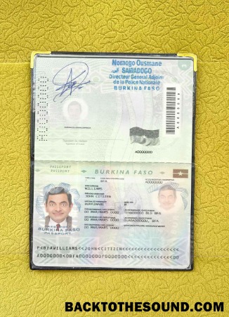 Scarica Burkina Faso pass (2008 2018) Foto look Campione anteprima