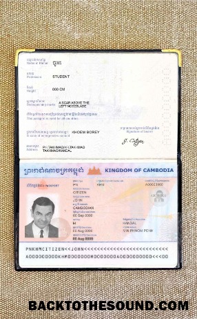 Scarica Cambogia Passaporto Foto look Campione modello