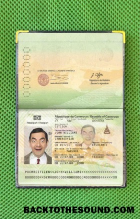 Scarica Camerun Passaporto Foto look Campione campione