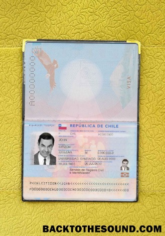 Scarica Cile Passaporto Foto look Campione design