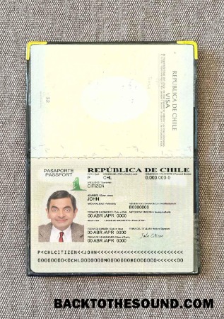 Scarica Cile Passaporto Versione 2 Foto look Campione anteprima