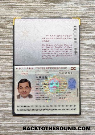 Scarica Cina Passaporto (2013 Presente) Foto look Campione modello