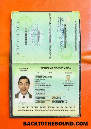 Scarica Costa Rica diplomatic Passaporto Foto look Campione mockup