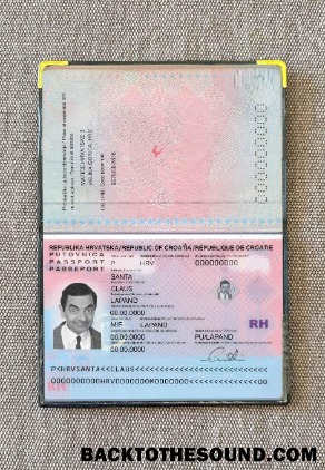 Scarica Croazia Passaporto Foto look Campione design