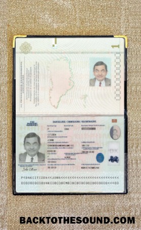 Scarica Danimarca Passaporto 2022 Presente foto-look Campione mockup