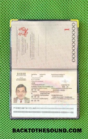 Scarica Danimarca Passaporto Foto look Campione design