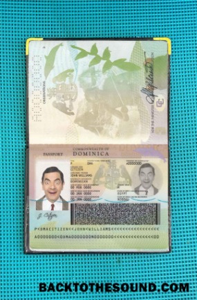 Scarica Dominican Passaporto Foto look Campione modello