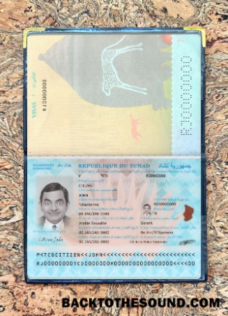 Scarica Du Tchad Passaporto Nuovo 2021 Presente foto-look Campione anteprima